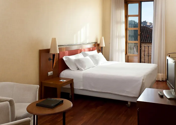 萨拉曼卡卡斯泰拉诺斯宫nh精选酒店 4*