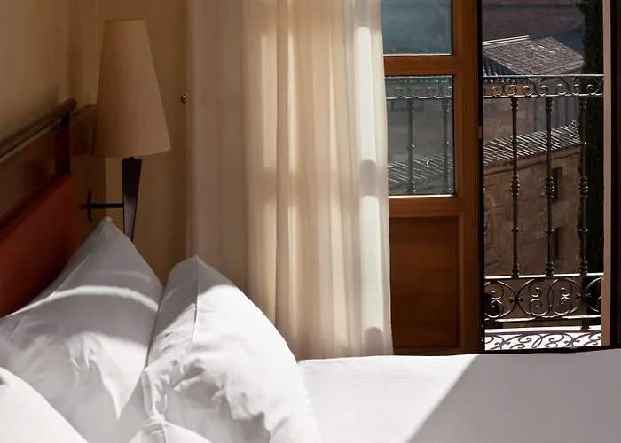 萨拉曼卡卡斯泰拉诺斯宫nh精选酒店 酒店