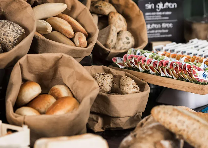 萨拉曼卡卡斯泰拉诺斯宫nh精选酒店 萨拉曼卡