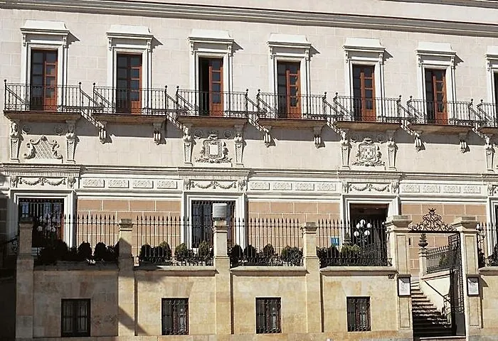 Nh Collection Palacio De Castellanos